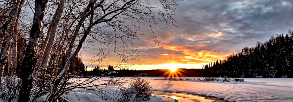 winter landscape