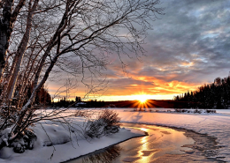 winter landscape