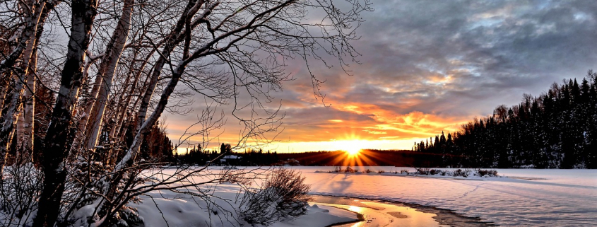 winter landscape